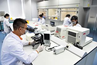 廣東省城市建設(shè)技師學(xué)院生物技術(shù)研發(fā) 推動城市可持續(xù)發(fā)展的創(chuàng)新力量