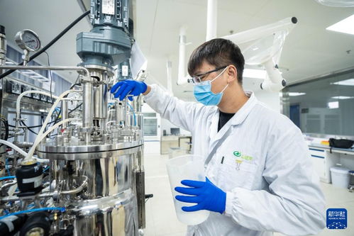 湖南津市 生物制造產業加速發展，技術推廣引領產業升級